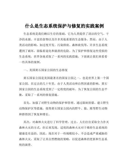 什么是生态系统保护与修复的实践案例