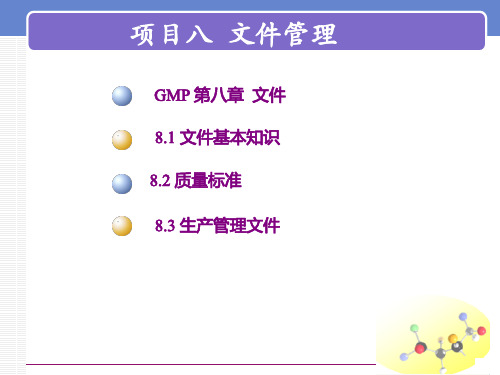 GMP实施技术 文件管理