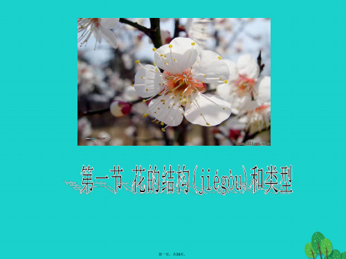 八年级生物上册7.1.1花的结构和类型课件济南版