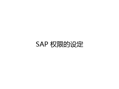 sap权限设定-role相关(basis资料)