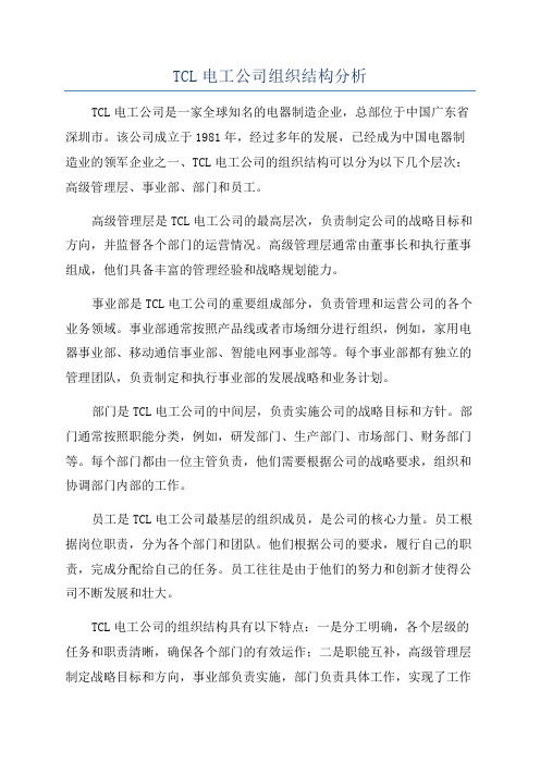 TCL电工公司组织结构分析