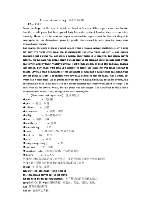 LessonApumaaarge逃遁的美洲狮