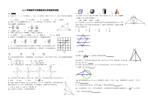 2016年寒假学习效果监测青岛版数学试卷