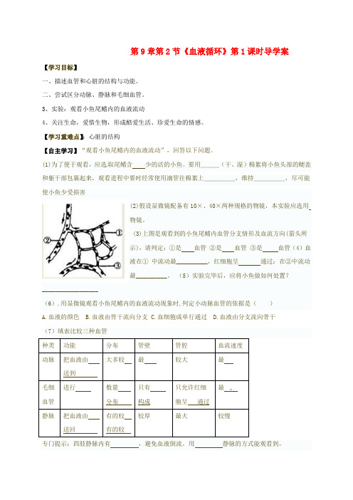 七年级生物下册第9章第2节血液循环第1课时导学案无答案北师大版1