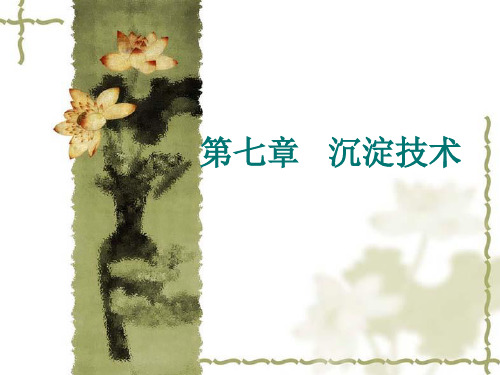 05(07)第七章 沉淀技术fi