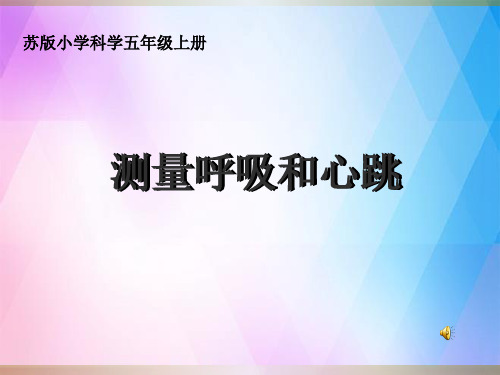 苏教版五年级科学上册《测量呼吸和心跳》