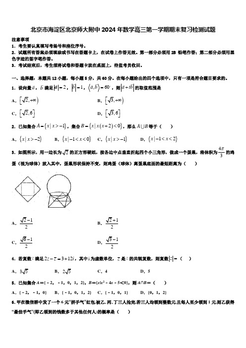 北京市海淀区北京师大附中2024年数学高三第一学期期末复习检测试题含解析