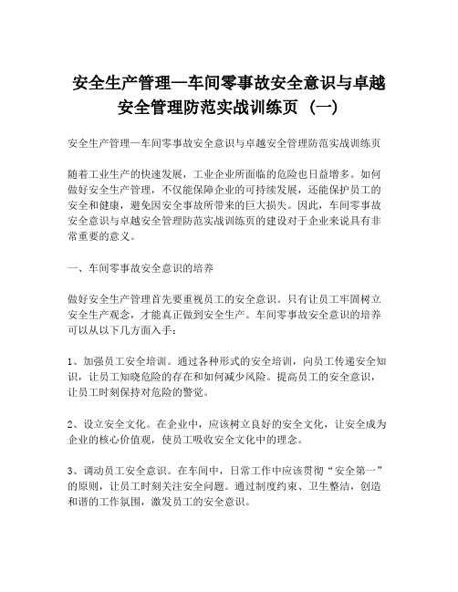 安全生产管理—车间零事故安全意识与卓越安全管理防范实战训练页 (一)