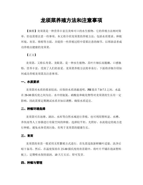 龙须菜养殖方法和注意事项