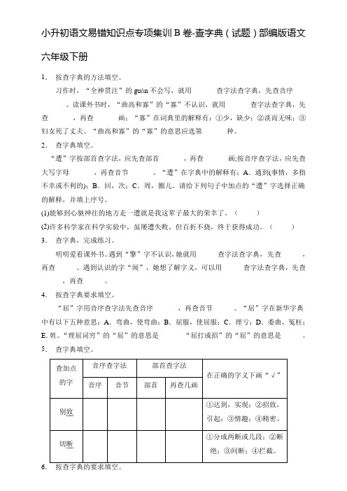 小升初语文易错知识点专项集训B卷-查字典(试题)部编版语文六年级下册