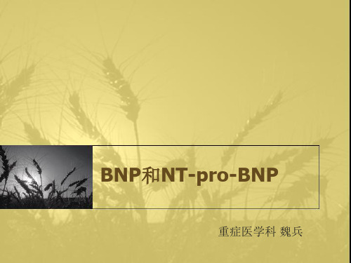 BNP和NT-pro-BNP