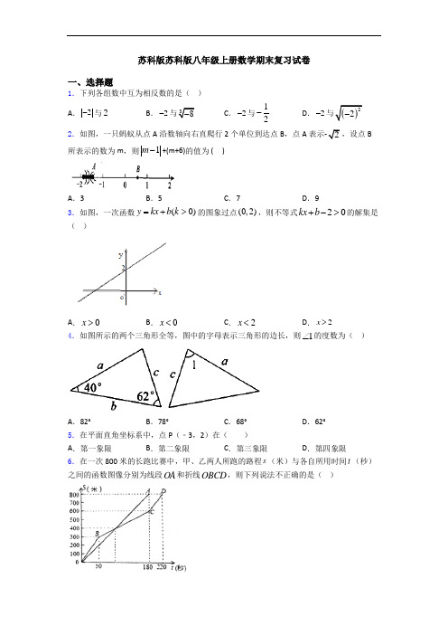 苏科版苏科版八年级上册数学期末复习试卷