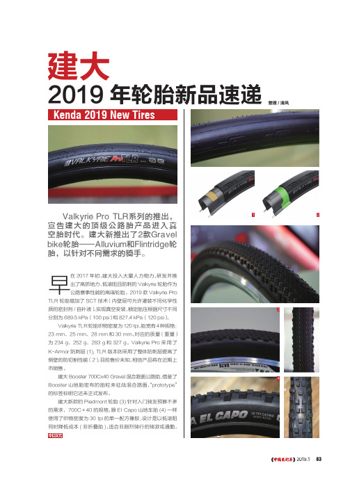 建大2019年轮胎新品速递