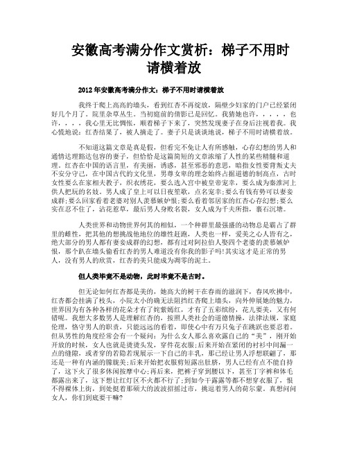 安徽高考满分作文赏析：梯子不用时请横着放