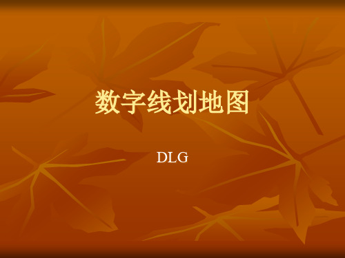 dlg数字线划图