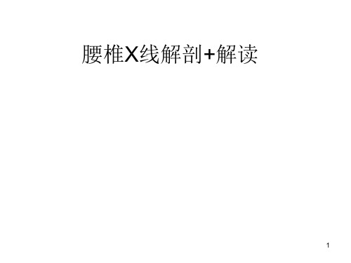 腰椎X线解剖解读