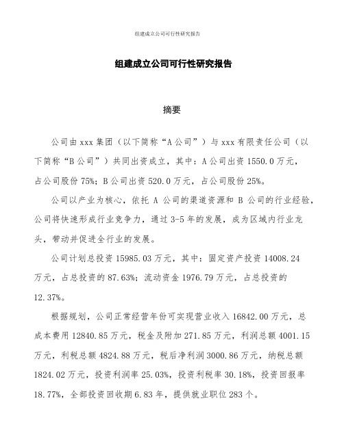 组建成立公司可行性研究报告