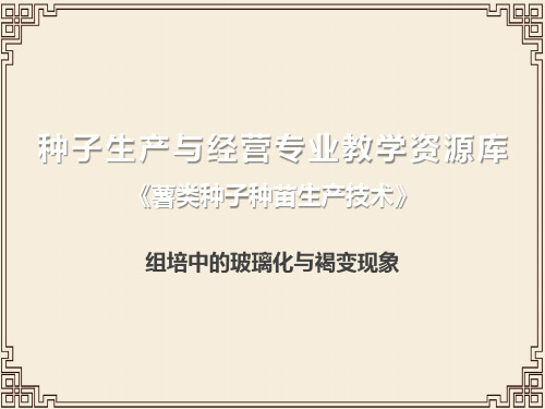 组培中的玻璃化与褐变现象