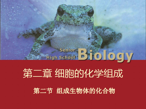 细胞中的生物大分子讲义