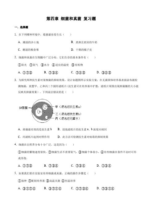 人教版八年级上册生物  第五单元 第四章 细菌和真菌 复习题(含答案)