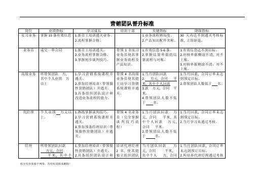 营销团队晋升标准