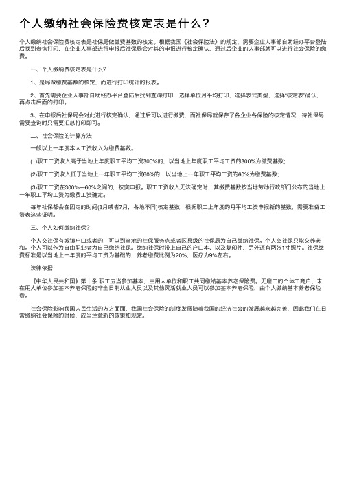 个人缴纳社会保险费核定表是什么？