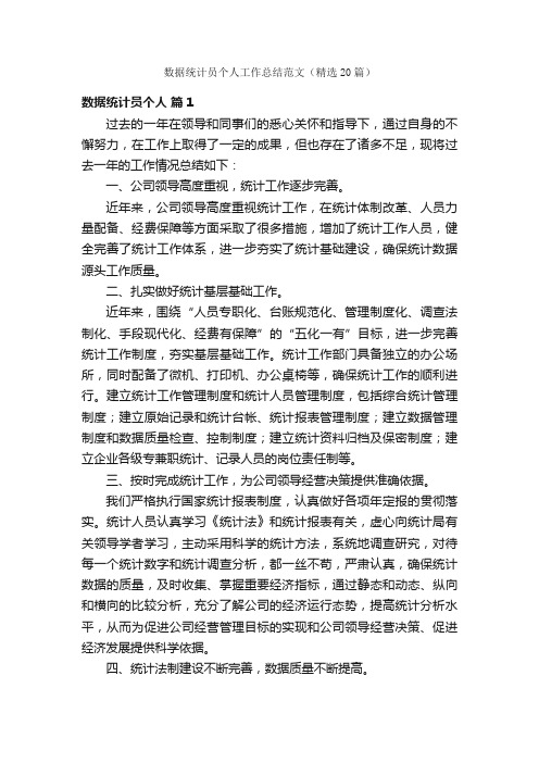 数据统计员个人工作总结范文（精选20篇）