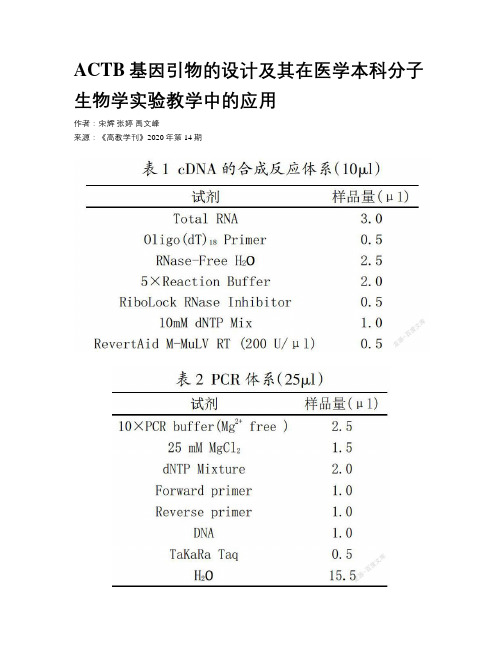 ACTB基因引物的设计及其在医学本科分子生物学实验教学中的应用  