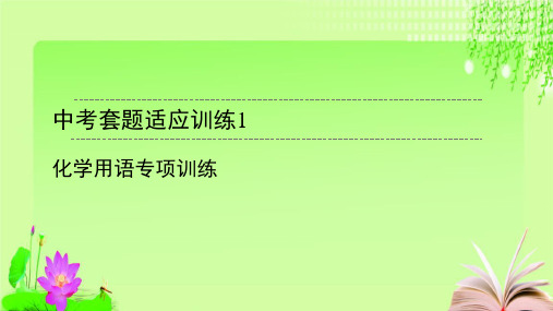 最新2020广东中考化学总复习 中考套题适应训练12套教育课件