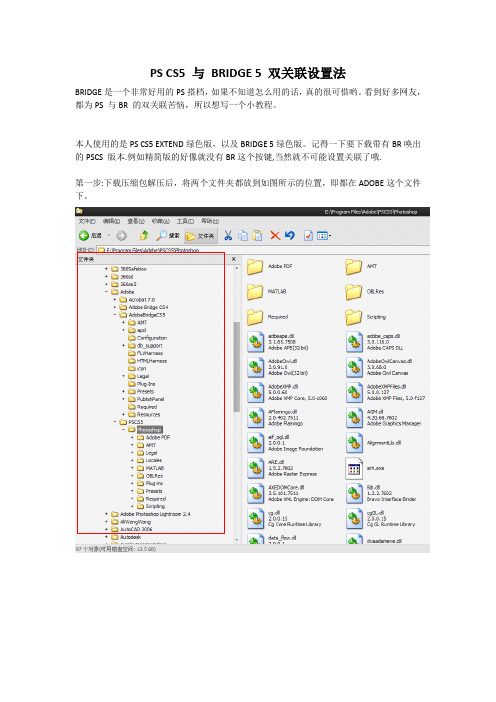 ADOBE PS BRIDGE 双关联