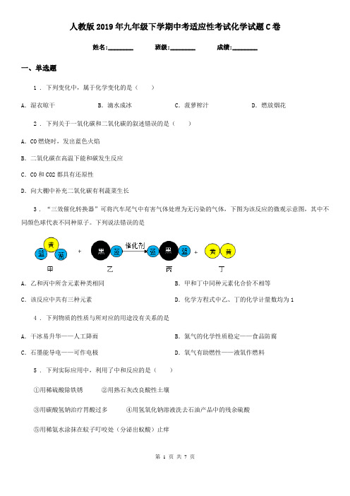 人教版2019年九年级下学期中考适应性考试化学试题C卷