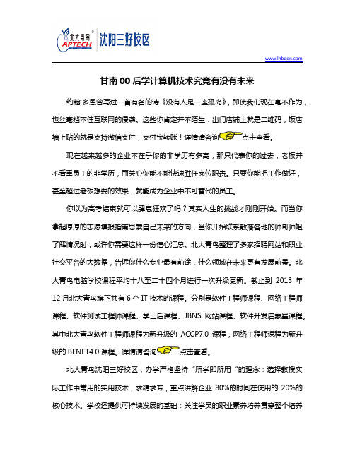 00后学计算机技术究竟有没有未来