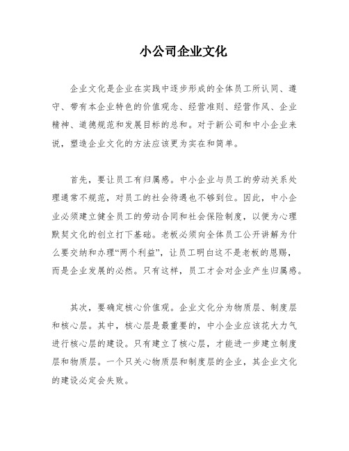 小公司企业文化