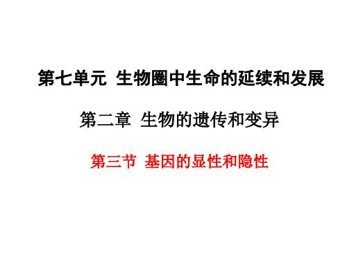 基因的显性和隐性课件人教版生物八年级下册