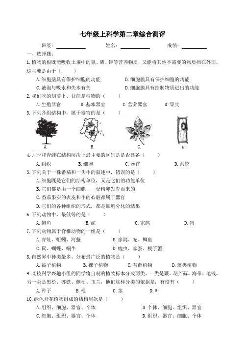 浙教版七年级科学第二章 观察生物单元测试