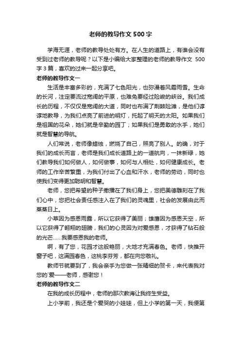 老师的教导作文500字3篇