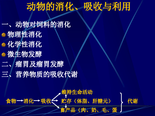 动物的消化、吸收与利用