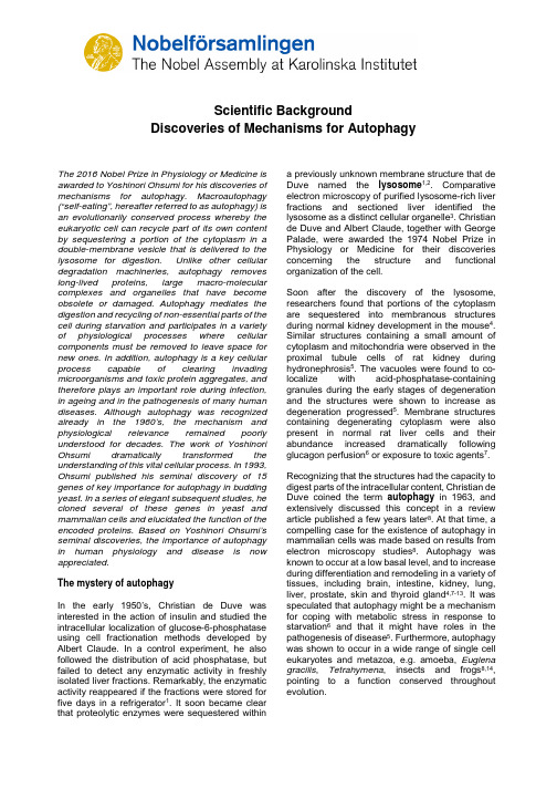 细胞自噬机制--2016年诺贝尔生理或医学奖