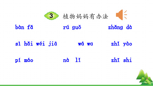 部编版二年级语文(上)PPT《植物妈妈有办法》完整版课件