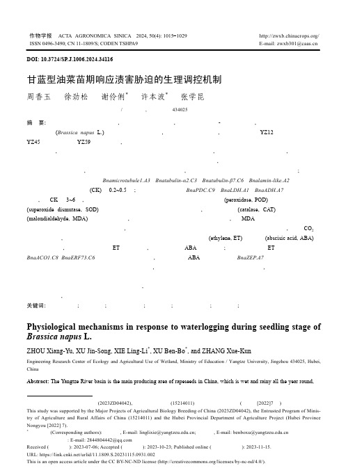 甘蓝型油菜苗期响应渍害胁迫的生理调控机制