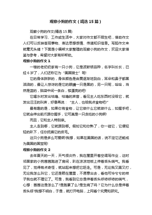 观察小狗的作文（精选15篇）