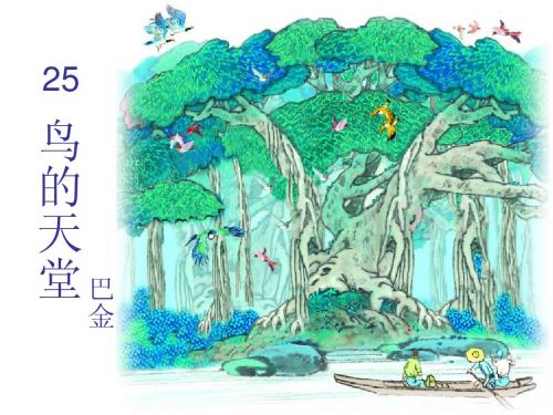 鸟的天堂课件之二(语文S版)