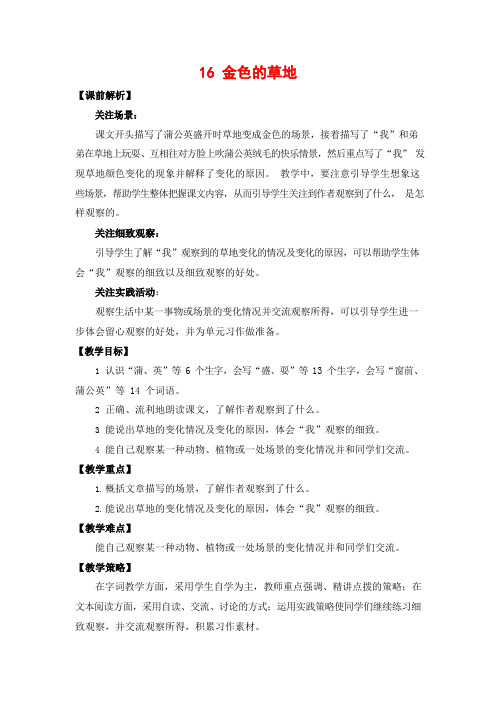 人教部编版三年级语文上册《16 金色的草地》教案教学设计小学优秀公开课