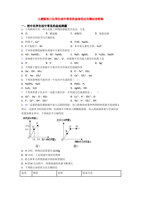 人教版初三化学生活中常见的盐培优过关测试含答案