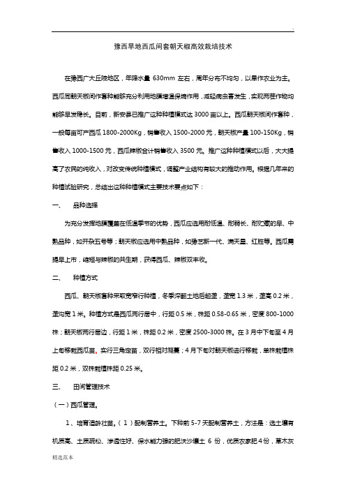 豫西旱地西瓜间套朝天椒高效栽培技术