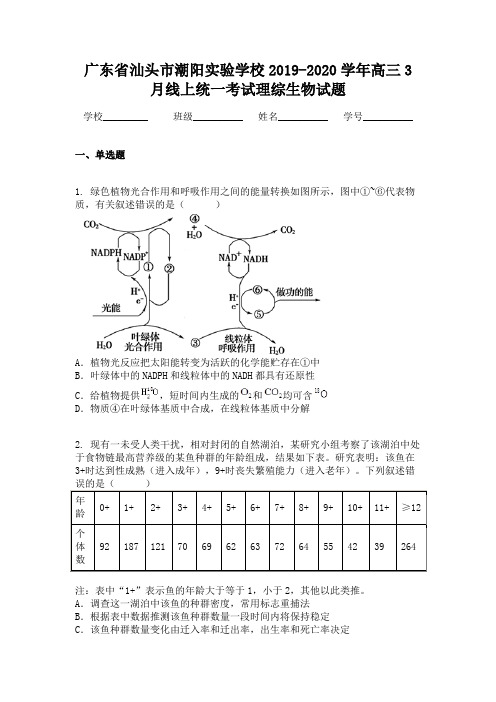 广东省汕头市潮阳实验学校2019-2020学年高三3月线上统一考试理综生物试题