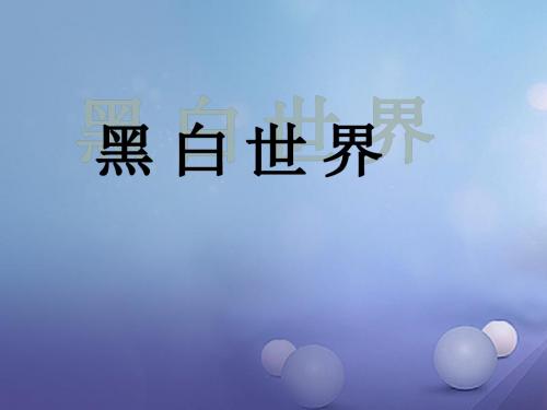 七年级美术下册第2课黑白世界课件3湘美版
