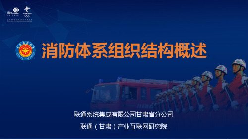 消防体系组织结构概述 PPT精品课件