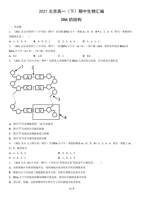 2021北京高一(下)期中生物汇编：DNA的结构