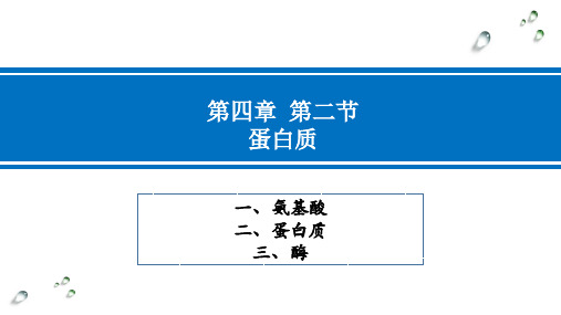 化学人教版(2019)选择性必修3 4.2.2蛋白质的性质课件(共24张ppt)